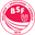 Home team logo
