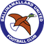 Мяч Ballinamallard United logo