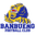 Home team logo