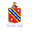 Home team logo