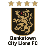 Bankstown City FC logo