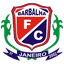 teamLogo