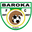 Home team logo