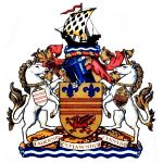 Барри Таун logo