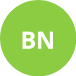 Басич Н. logo