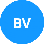 Bazilevskiy V. logo
