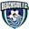 Home team logo