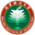 Home team logo