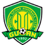 teamLogo