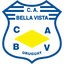 teamLogo