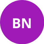 Бенешова Н. logo