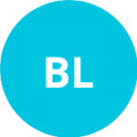 Benkaddour L. logo
