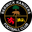 Home team logo