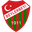 Home team logo