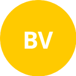 Белинский В. logo