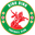 Home team logo