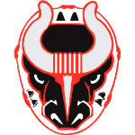 Бирмингем Быки logo