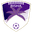Home team logo