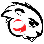 home team logo