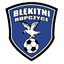 Бленкитни Ропчице logo