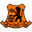 Home team logo