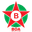 Home team logo