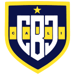 Бока Хуниорс logo