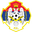 Home team logo