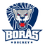 Borås HC