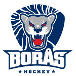 ХК Борас logo