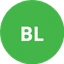 Borg L.