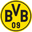 Home team logo