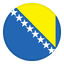 Босния и Герцеговина logo