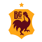 Брадфорд Сити ЛФК logo