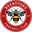 Home team logo