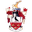 Home team logo