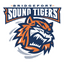 Bridgeport Islanders