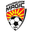 Home team logo