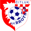 teamLogo