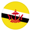 Бруней logo