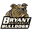 Home team logo