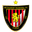 Home team logo