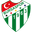 Home team logo