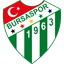 Бурсаспор logo