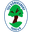 Home team logo