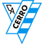 Серро logo