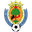 Home team logo