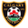 Home team logo