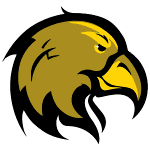 home team logo