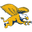 Home team logo